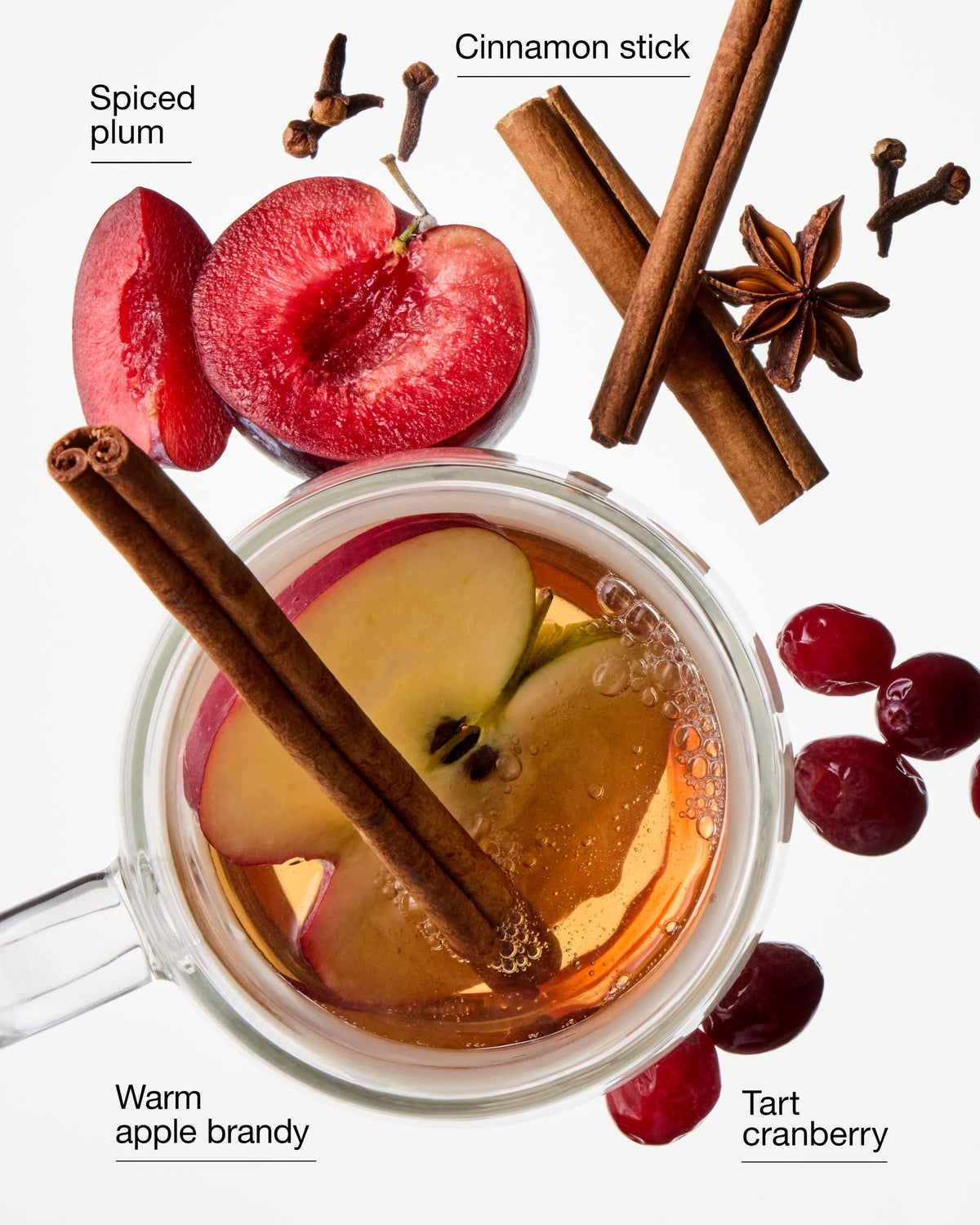 Spiced Apple Toddy