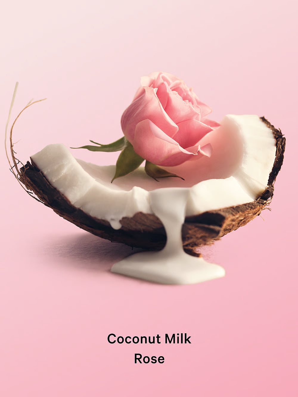 Coconut milk rose