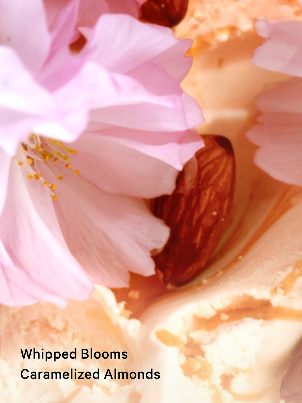Velvet Petals Brulee