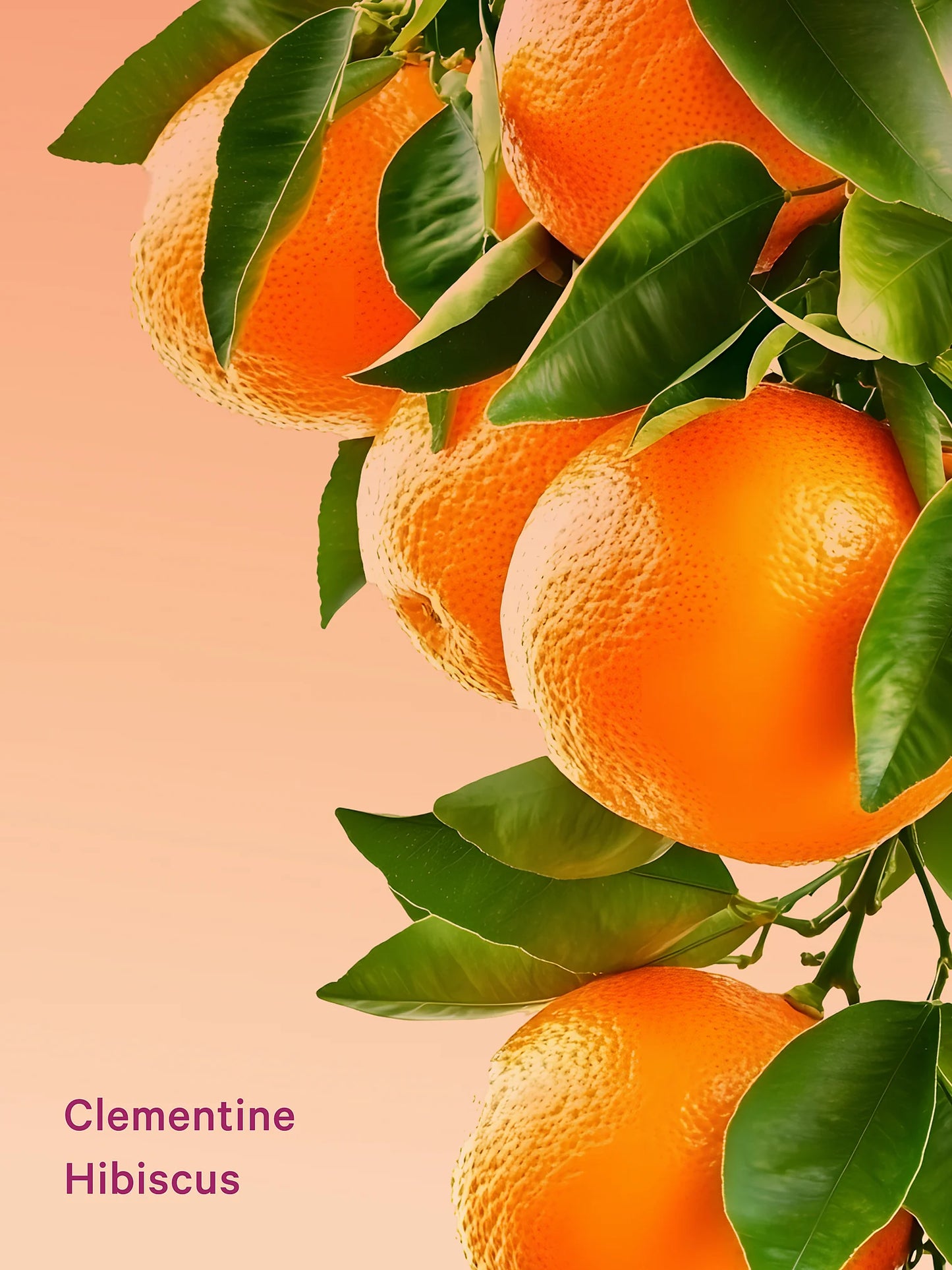 Clementine Hibiscus Feel Energized