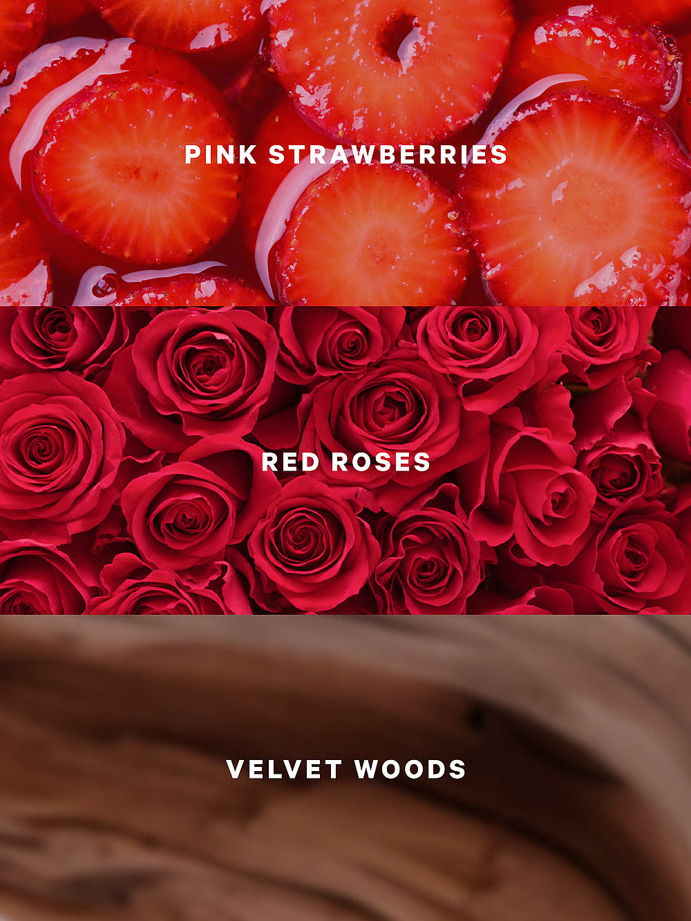 Lovely Berry Rose