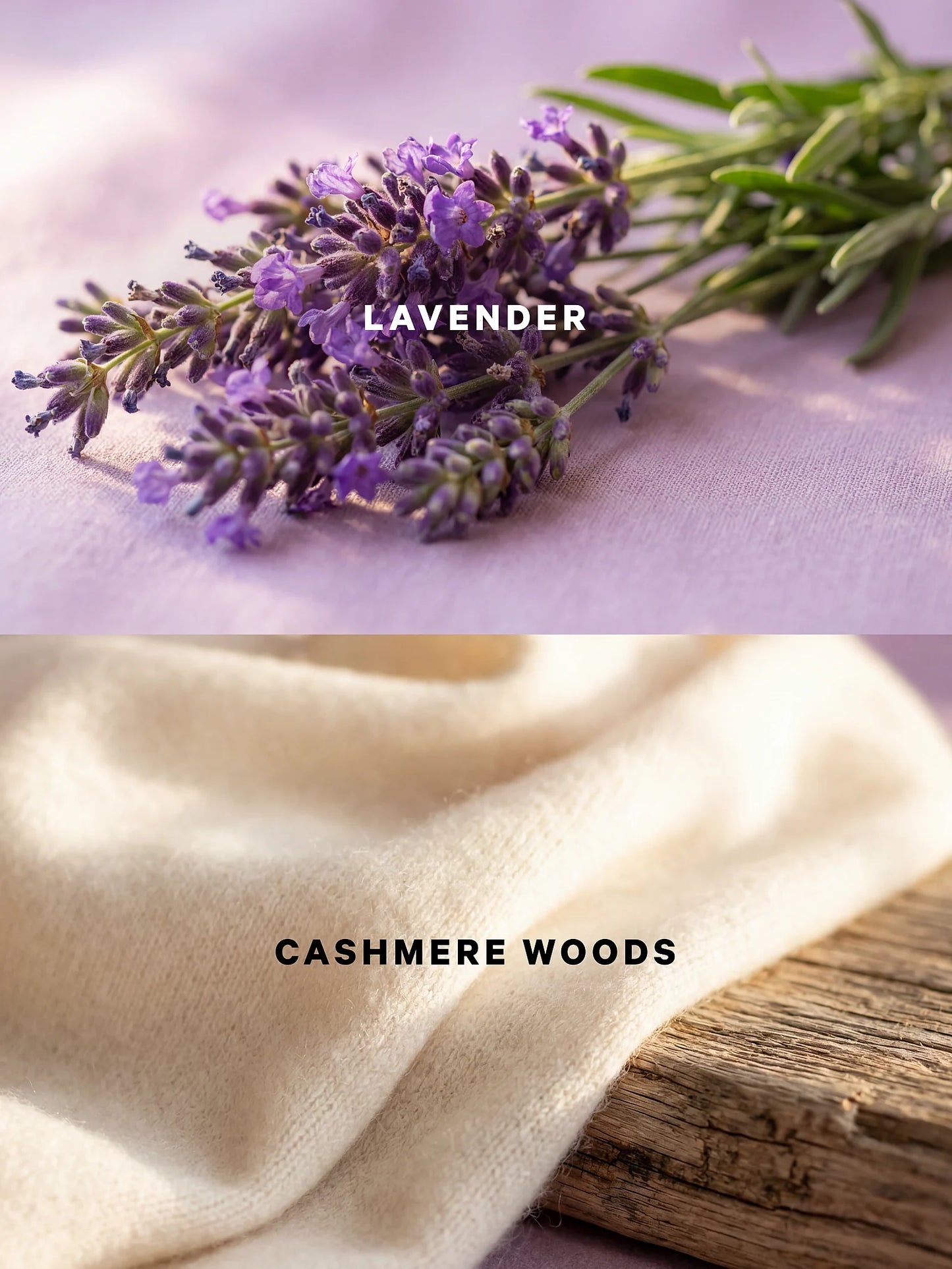 Lavender Cashmere Woods