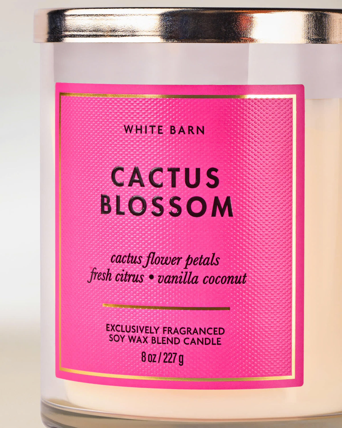Cactus blossom