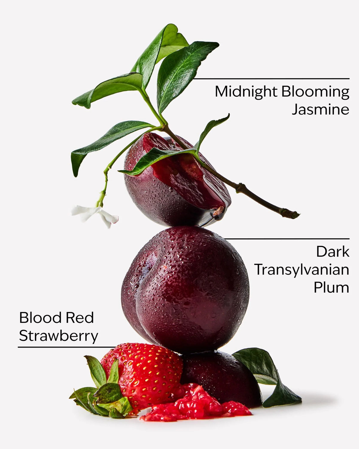 Vampire blood