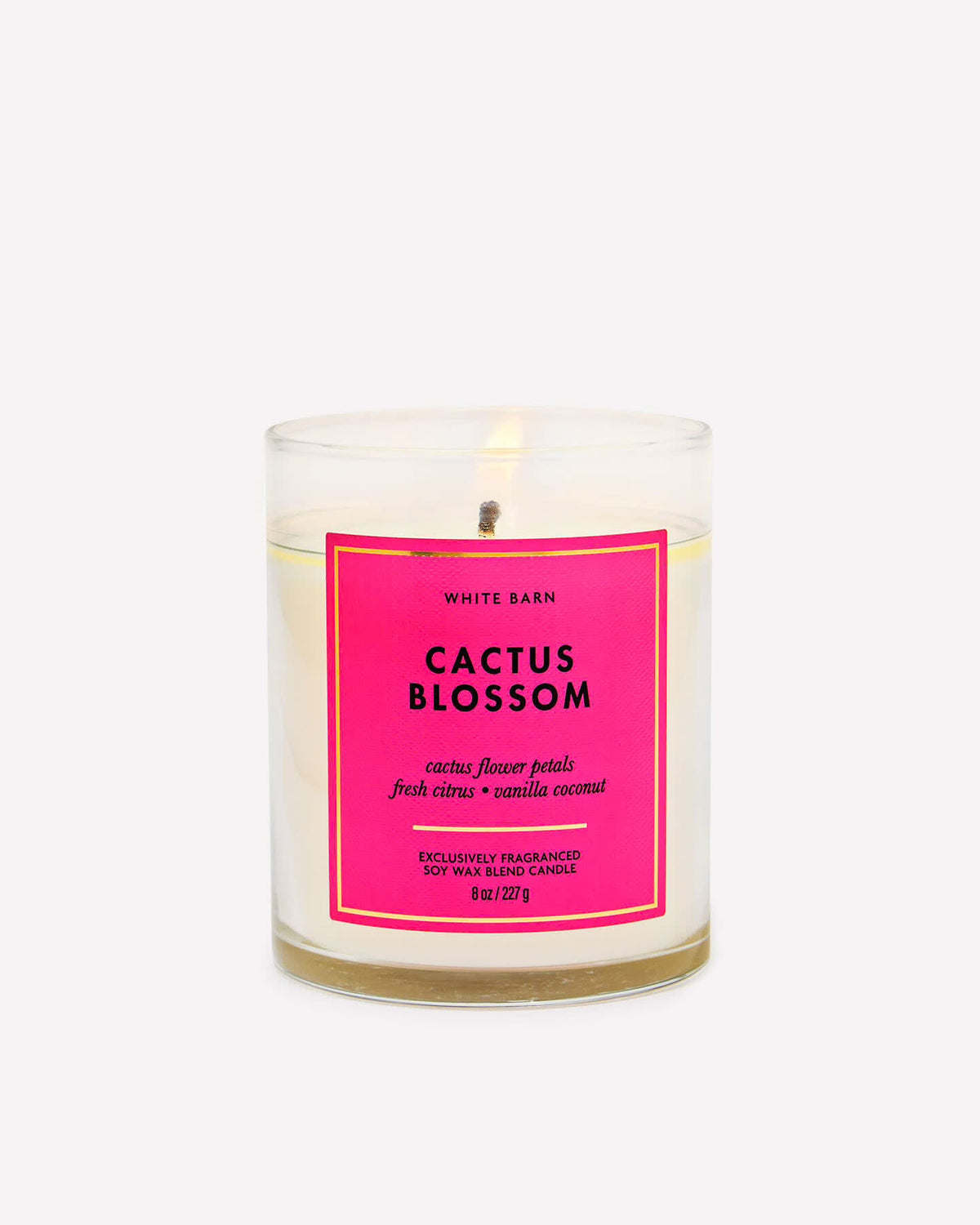 Cactus blossom