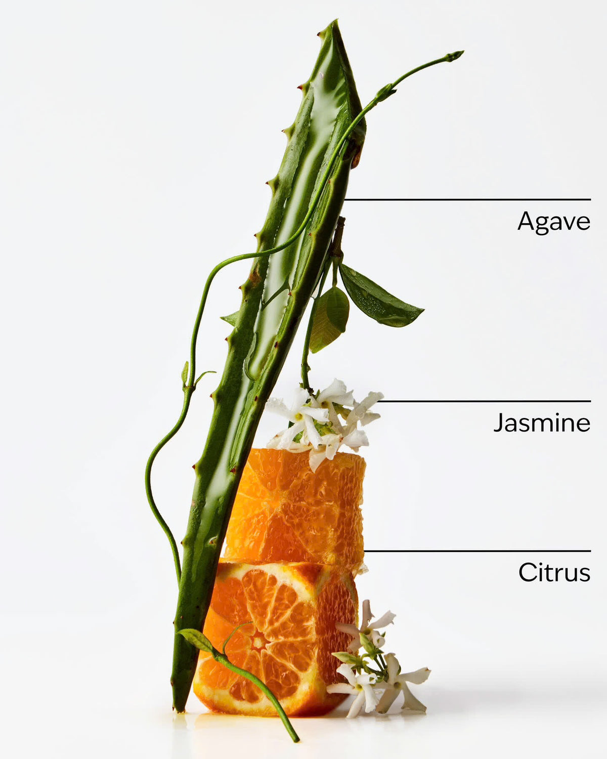 Sweet orange + agave