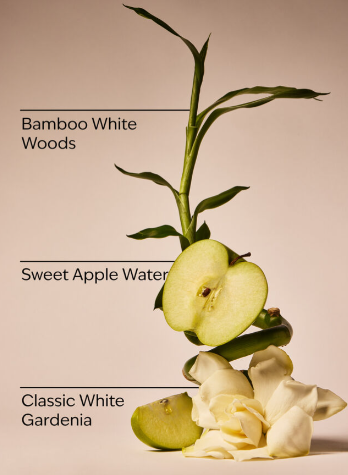 Rainforest Gardenia