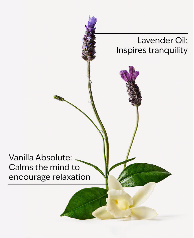 Lavender Vanilla