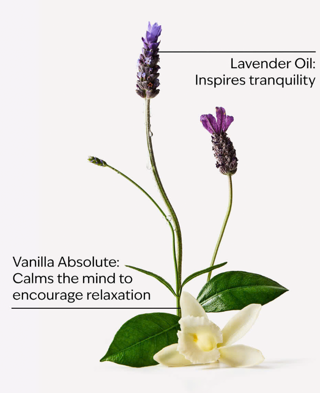 Lavender Vanilla