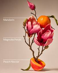 Pink Peach Blossom
