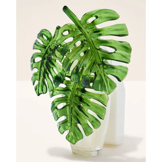 Conector Monstera