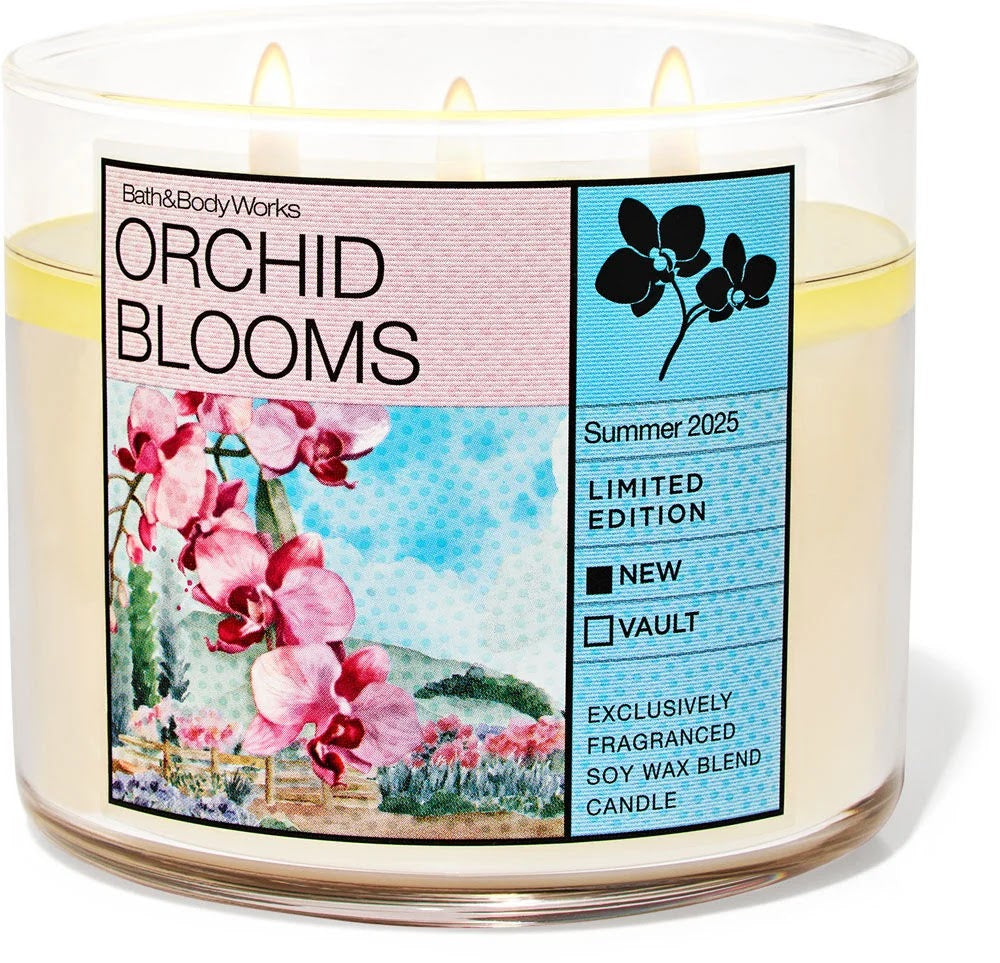 Orchid Blooms