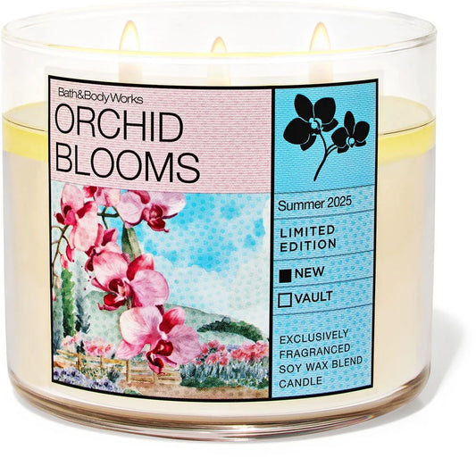 Orchid Blooms